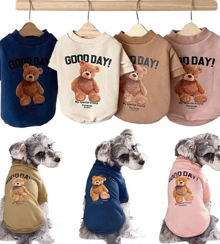 Bear Embrace Pullover