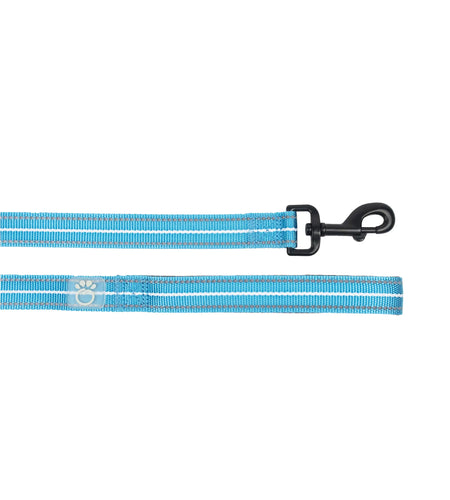 Reflective Leash - Neon Blue