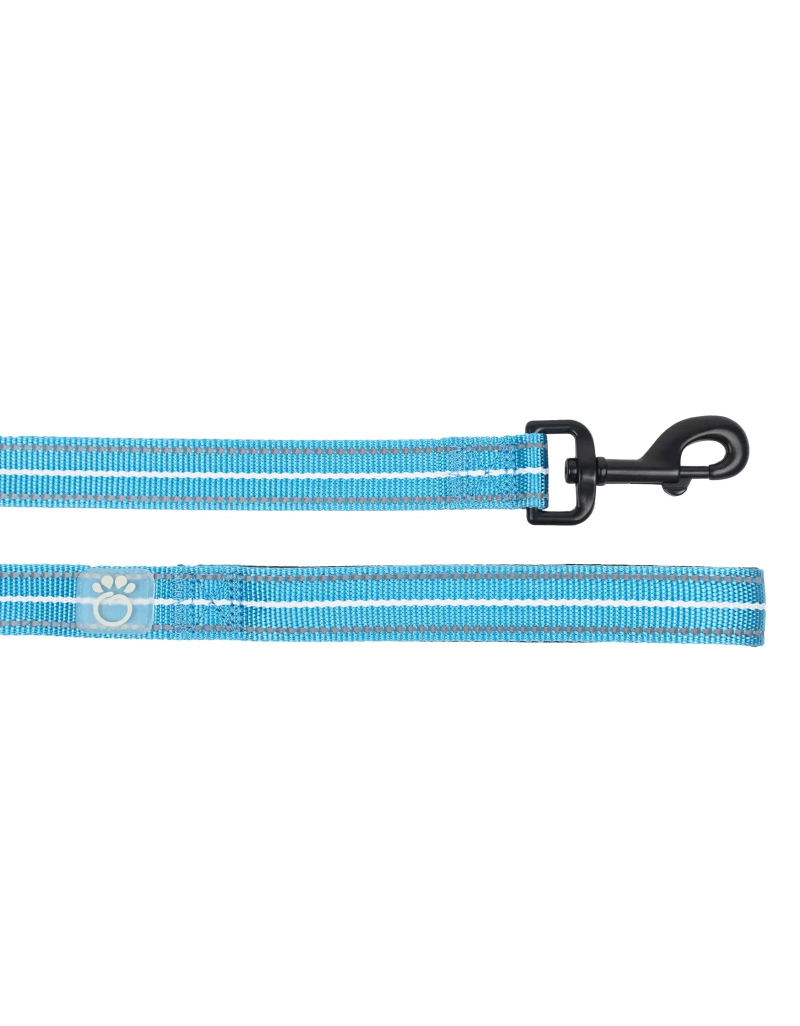 Reflective Leash - Neon Blue