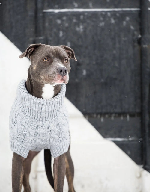 Load image into Gallery viewer, Chunky Dog Sweater
