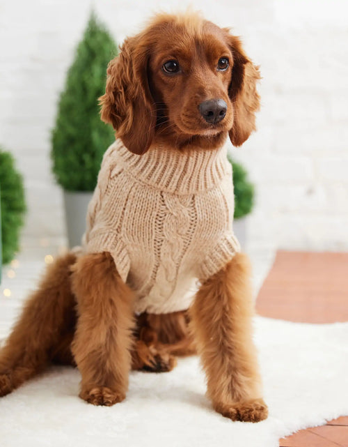Load image into Gallery viewer, Chalet Dog Sweater
