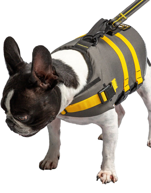 Load image into Gallery viewer, Army Dog Vest
