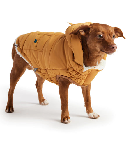 Super Puff Parka - Yellow