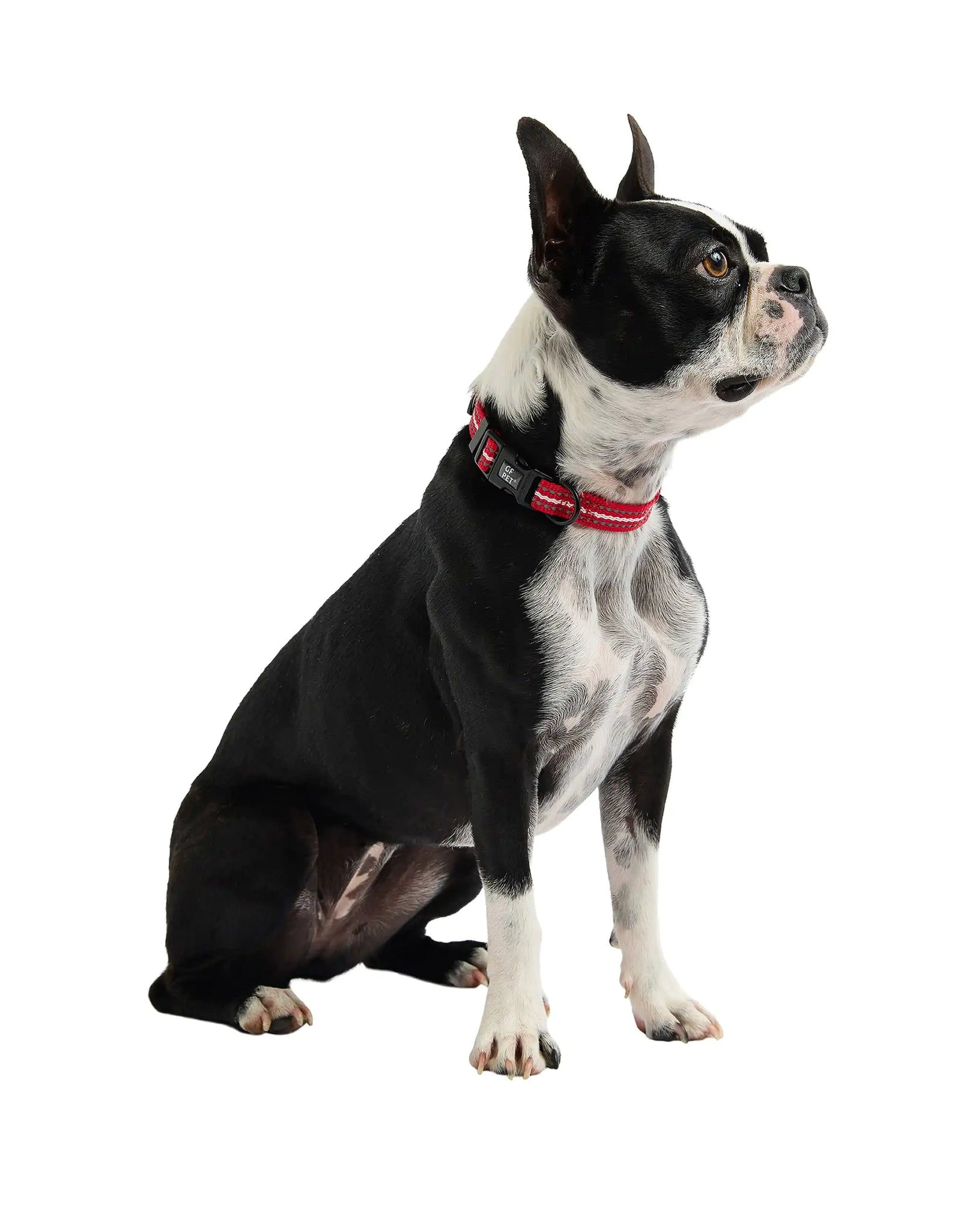 Reflective Collar - Red