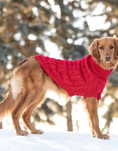 Load image into Gallery viewer, Red Chalet Dog Sweater
